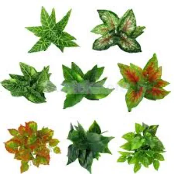 Modern Artificial Leaf